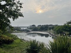 -宝安西湾红树林湿地公园