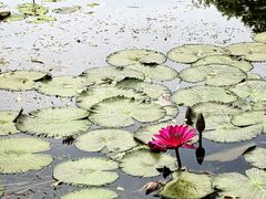 -星巴克(西湖天地店)
