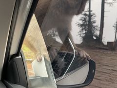 -重庆雨台山风景区