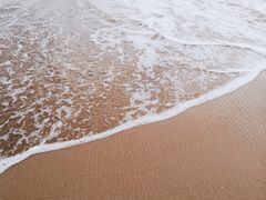 -枸杞岛