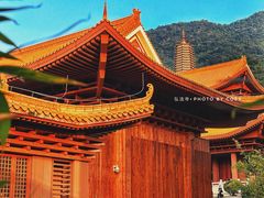 -深圳仙湖植物园