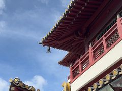 -新加坡佛牙寺龙华院