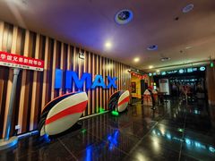 -华谊兄弟影院(IMAX洋桥店)