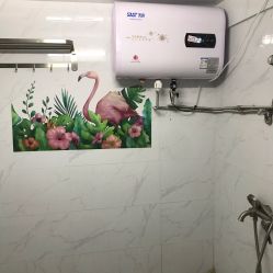 -DEM缔怡美科技美容