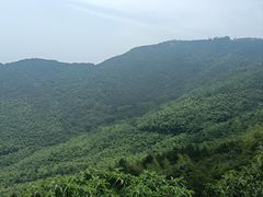 -黄山风景区