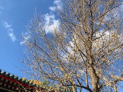 -香山公园-东宫门售票处