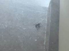 -上海怡沁园度假酒店