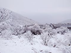 -太子岭滑雪场