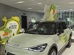 -上海浦东smart汽车全功能店(金桥店)