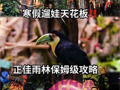 -正佳雨林生态植物园