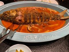 -阿五黄河大鲤鱼(建业路店)