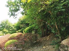 -大连植物园