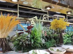 -金滏山烤肉·海鲜·火锅自助餐厅(襄阳万达店)