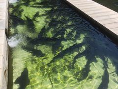 -天源渔港农庄