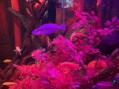 -沈阳海洋探索中心