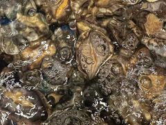 -福州西湖大酒店·怡湖咖啡厅
