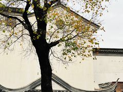 -老门东历史文化街区