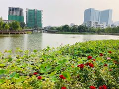 -西海子公园