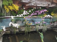 -北京植物园-展览温室