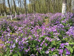 -白塘生态植物园