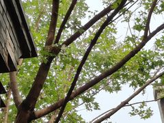 -VOYAGE COFFEE(杨梅竹店)