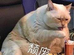 -1点点(大连路店)