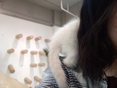 -Heymao猫咖.咖啡厅(东门店)