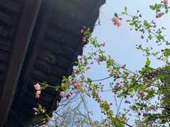 -惠山古镇·寄畅园