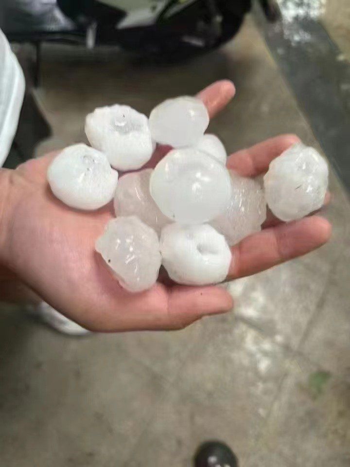 这么大的冰雹 你敢信