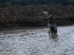 -洞里萨湖