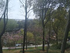 -太空球乐园