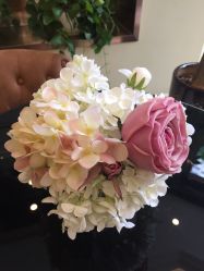 -碧莲盛·不剃发植发