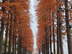 -东湖落雁景区