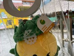 -榴莲BB 四季果园