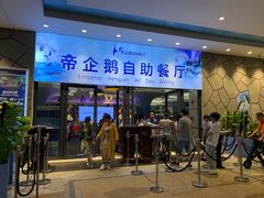 -帝企鹅自助餐厅•儿童岛•真企鹅(长隆企鹅酒店)