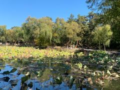 -承德避暑山庄景区