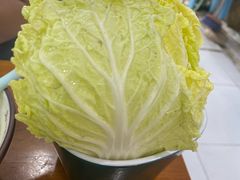 娃娃菜-老何家后安粉·糟粕醋海鲜火锅(三亚湾椰梦长廊店)