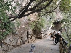 -云台山风景名胜区