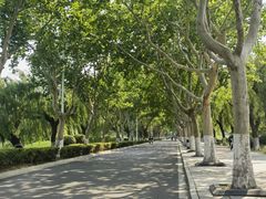 -云龙湖旅游景区