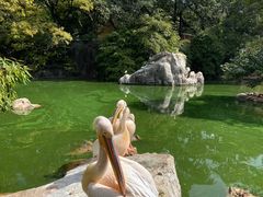 -昆明动物园