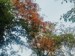 -昭山风景名胜区