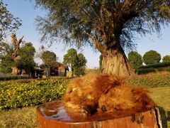 -南通洲际绿博园