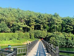 -九龙潭景区