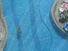 -厦门途易蓝罗约海景温泉酒店(园博苑地铁站店)