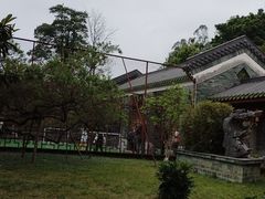 -广州神农草堂中医药博物馆