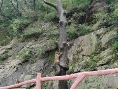 -环翠峪风景区