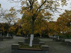 -江南大学(蠡湖校区)