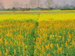 -中国天府农业博览园