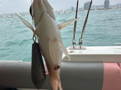 -小猫钓鱼海钓俱乐部(椰梦长廊店)