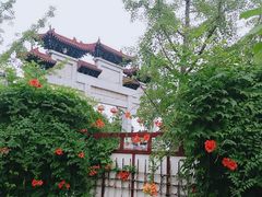 -团城山公园
